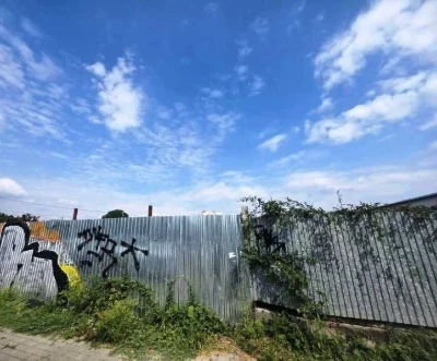 Ділянка в Києво-Поліському районі, 28 соток