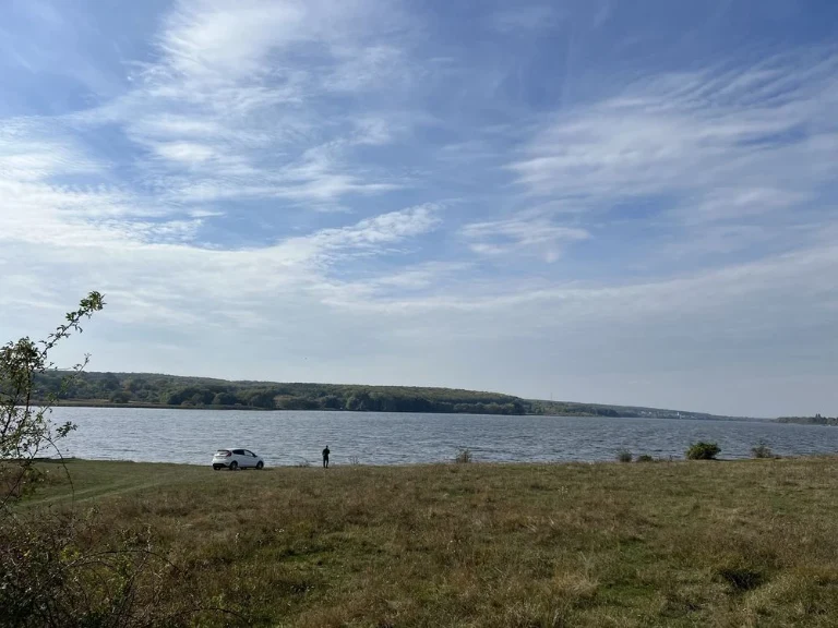 Земля на березі річки | Південний Буг | 8 сотих | Ліс, Вода,