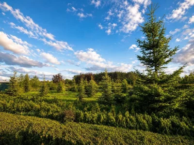 For Sale: Country Complex, 3 Hectares, 10 km from Vinnytsia