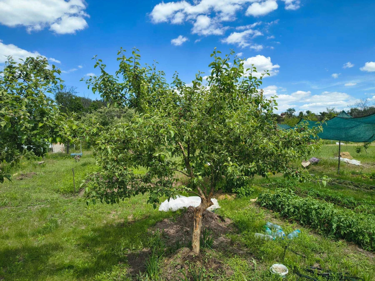 For sale, plot of land on the right bank, near the quarry