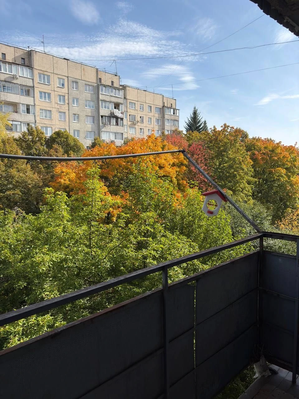 Sale of a 2-bedroom apartment on Volodymyr Veliky Street (near)