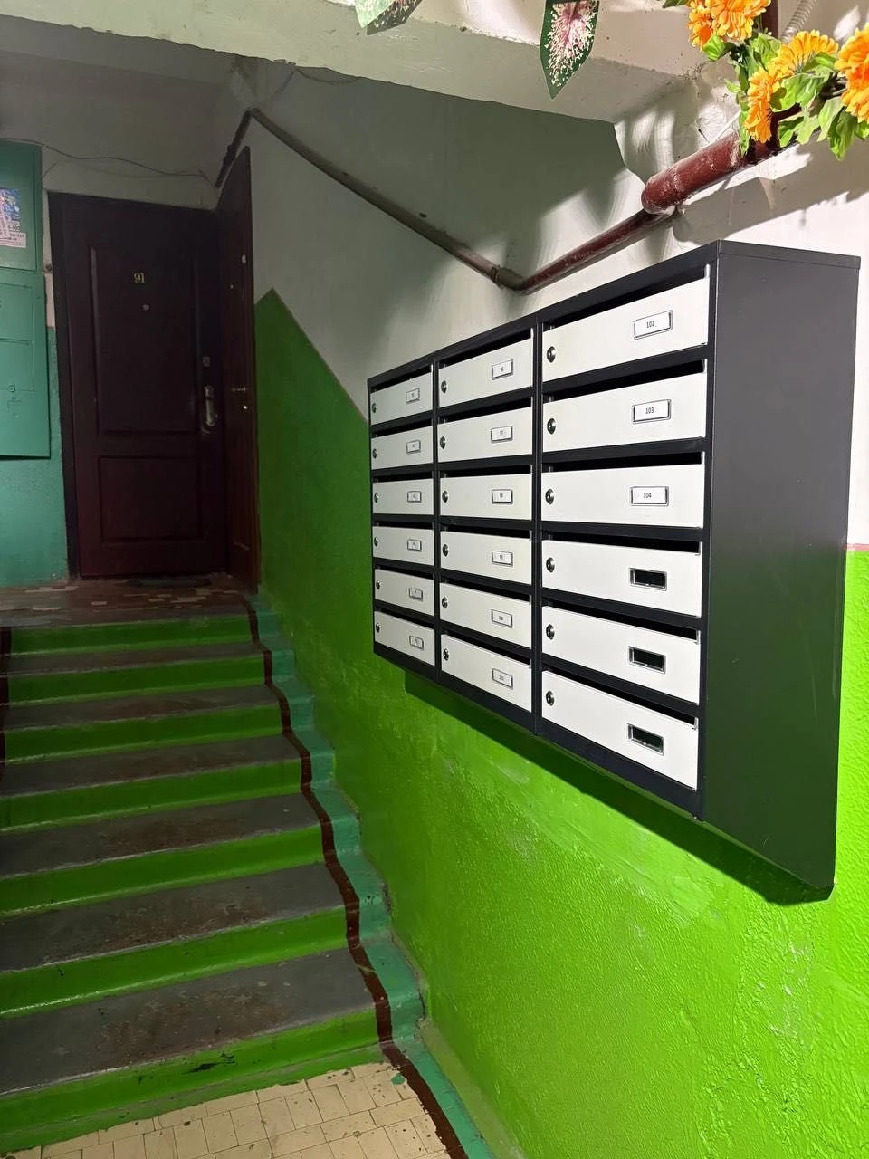 Sale of a 2-bedroom apartment on Volodymyr Veliky Street (near)