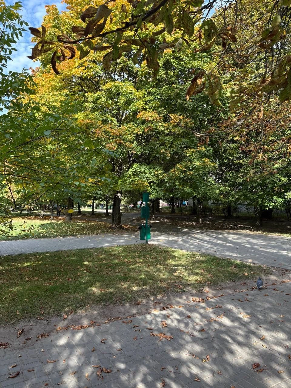 Sale of a 2-bedroom apartment on Volodymyr Veliky Street (near)