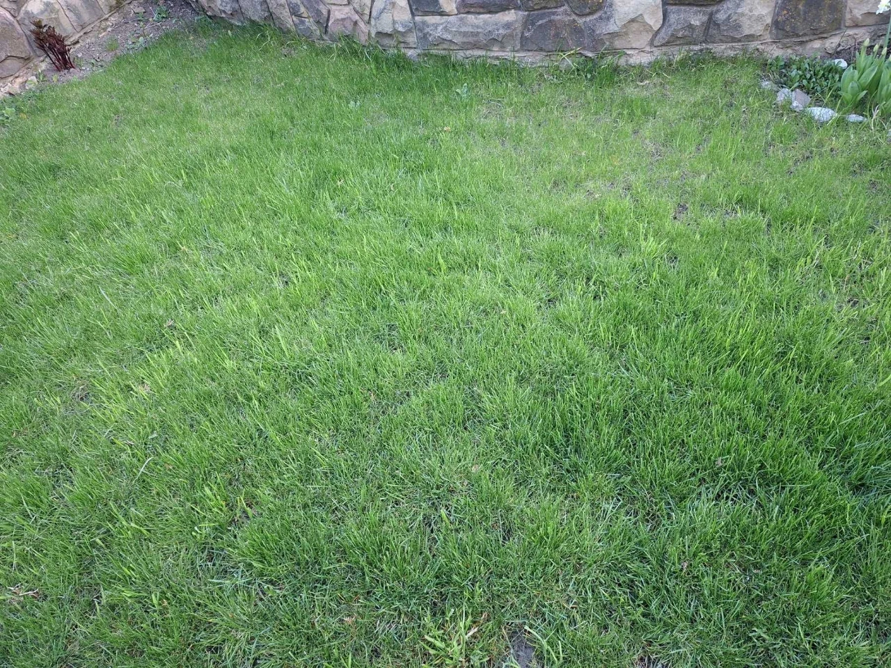 2-room apartment with a separate entrance plus a private terrace (exit to)