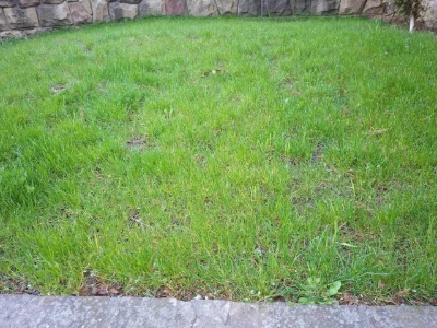 2-room apartment with a separate entrance plus a private terrace (exit to)