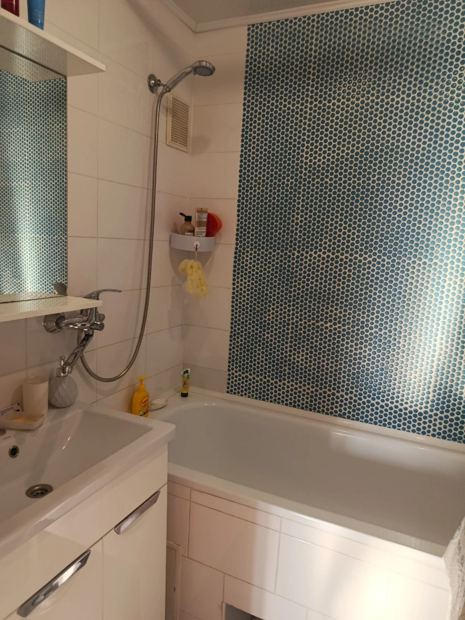 1-bedroom apartment with excellent renovation.