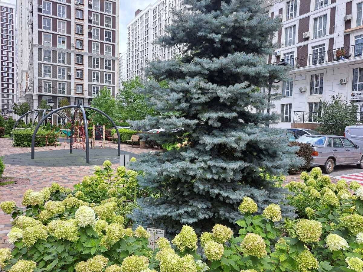 Сдам на длительный срок 1-комнатную квартиру Киев, Голосеевский, Михаила