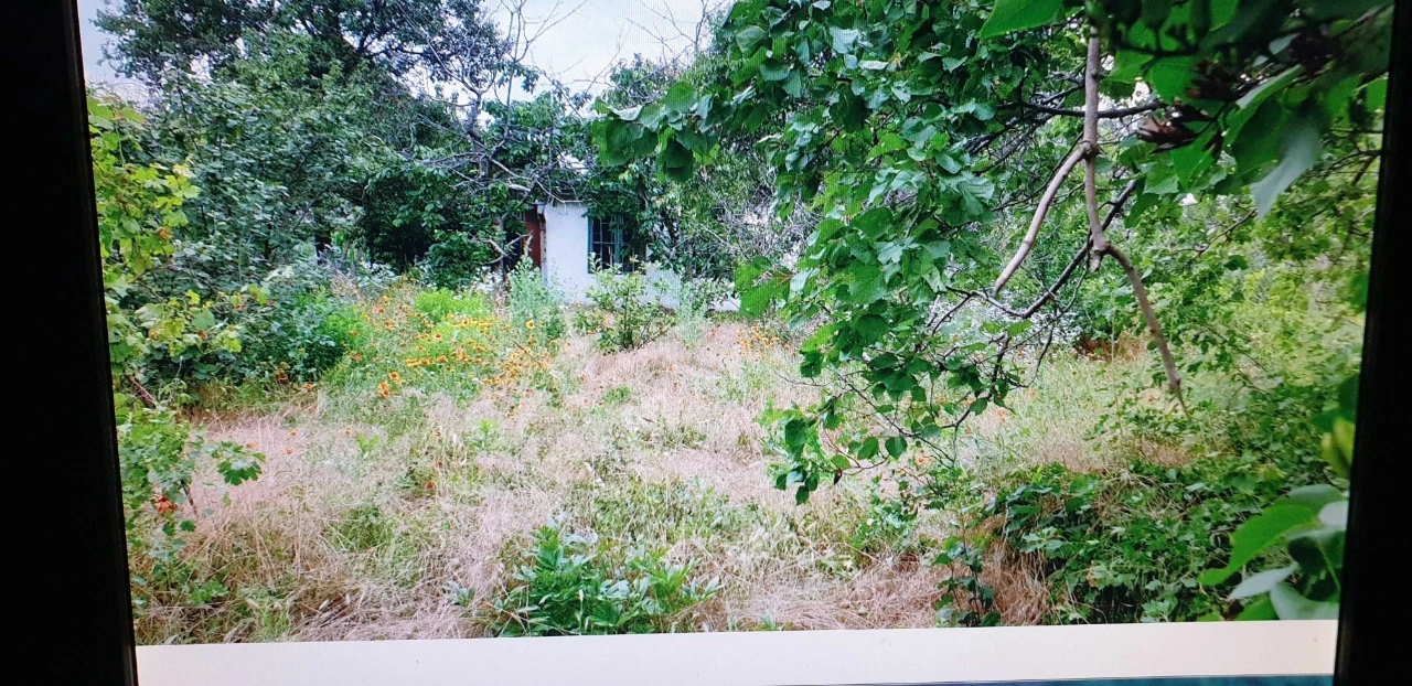 Selling. Country plot