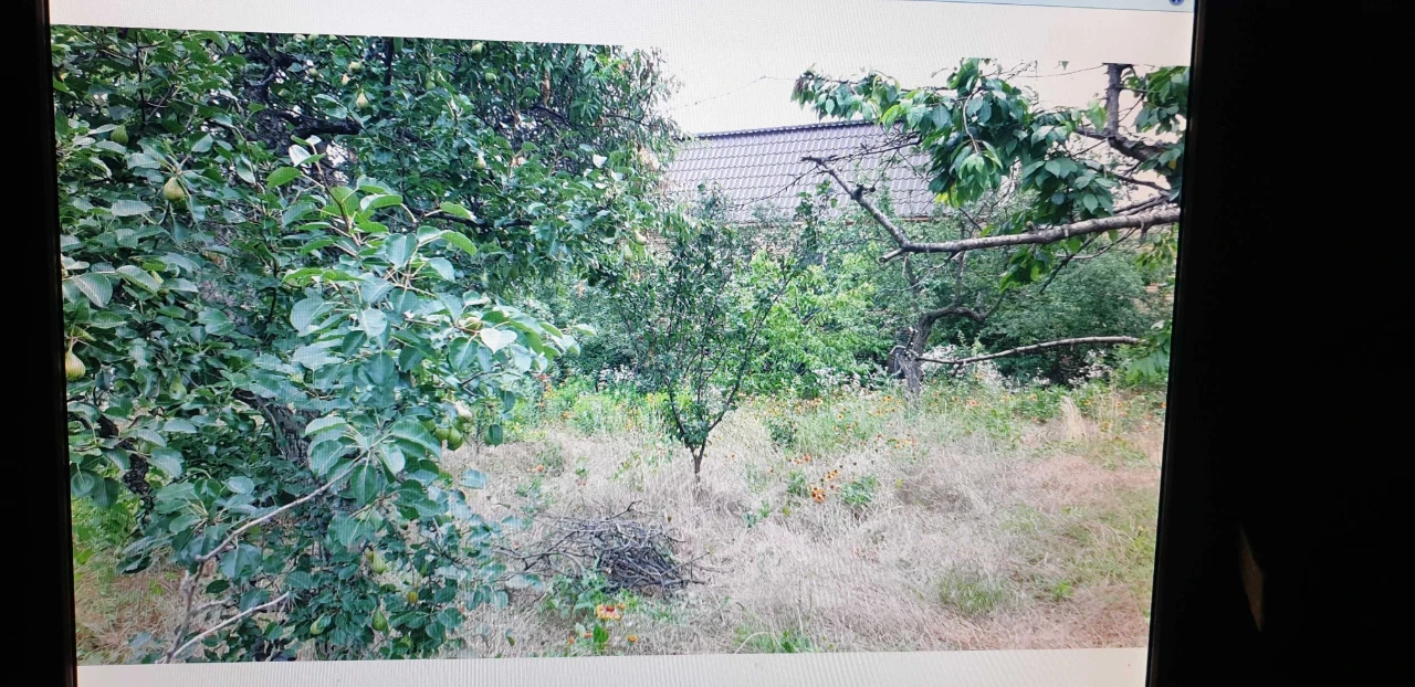 Selling. Country plot