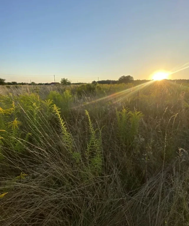 Land for sale