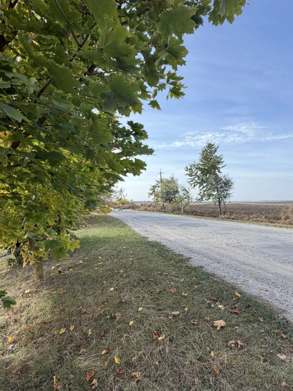 Land for sale in Hayiv-Shevchenkivskyi