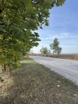 Land for sale in Hayiv-Shevchenkivskyi
