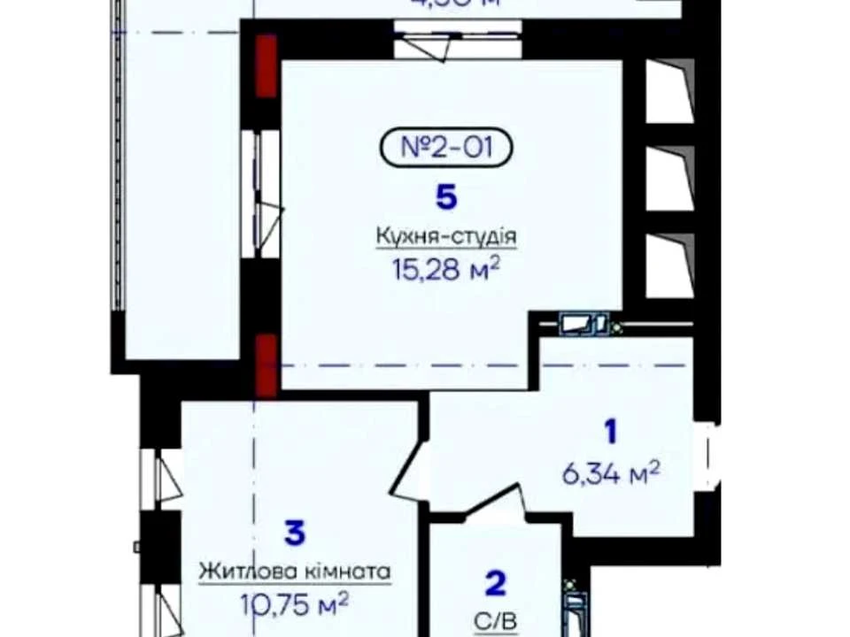 Apartment. Uzhhorod, Kvitky Tysik Street