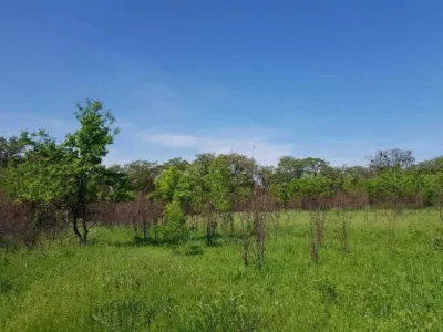 Створіть свій ідеальний дім.