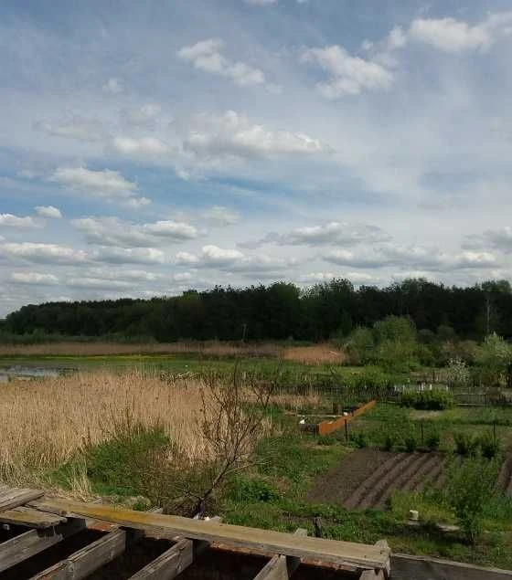 Земельна ділянка