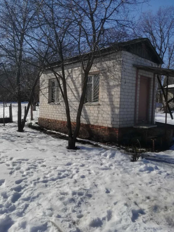 Land, plot for development, beginning of the fish farm, Romenskoye Shosse