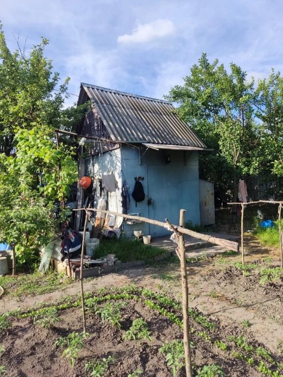 For sale: Cooperative plot "Berezka" (Oldish)