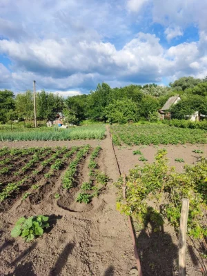 Продам дачу кооператив Берізка (Олдиш)