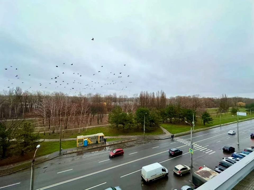 Квартира. Дніпро, Набережна Перемоги вул.