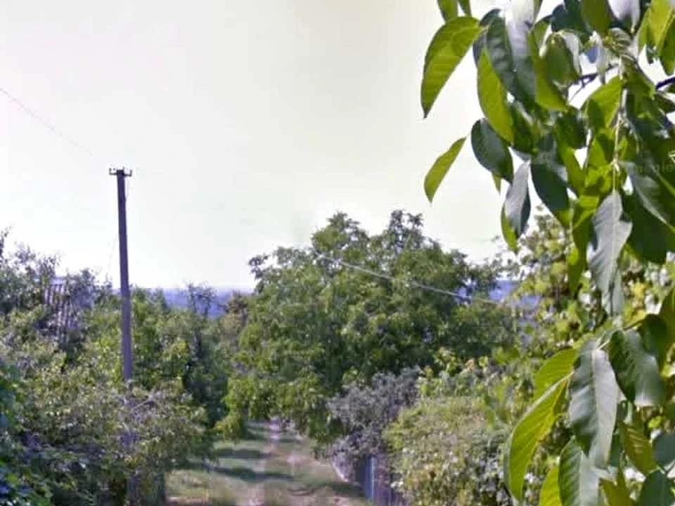 Land. Uzhgorod