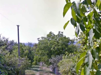 Land. Uzhgorod