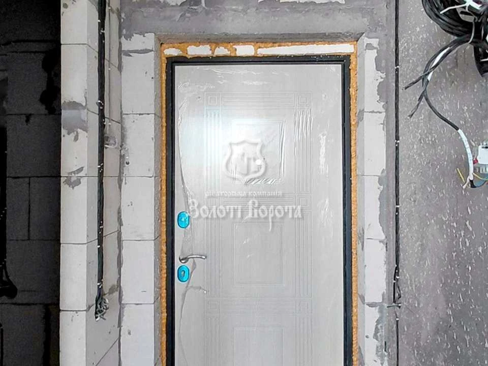 Apartment. Kyiv, Kam'yanska Street
