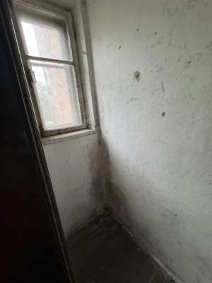 Room with Kitchen (Renovated)