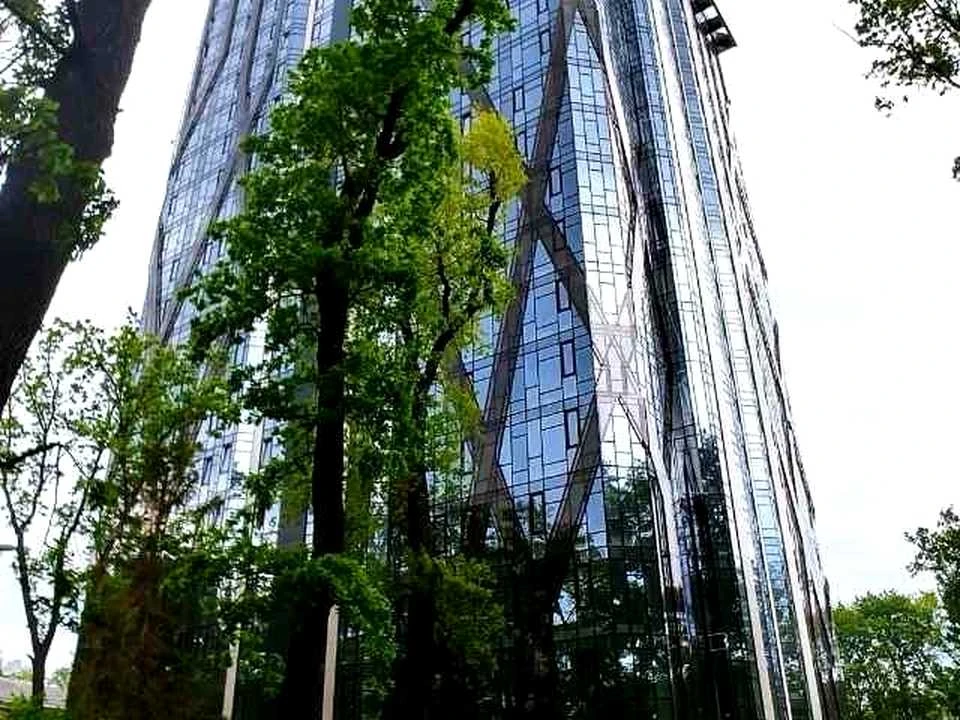 Квартира. Киев, улица Авиаконструктора Антонова