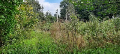 Land plot