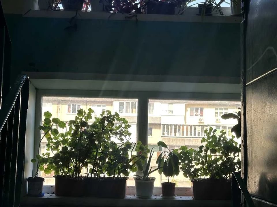 Apartment. Pavlo Tychyna Avenue, Kyiv