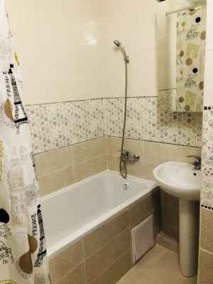 Сдам 1-комнатную квартиру 45 м², улица Скакуна, 23