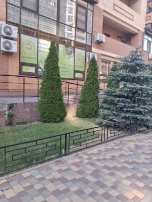 1 комнатная, как полноценная 2 комнатная | 62 м² | кирпичный дом