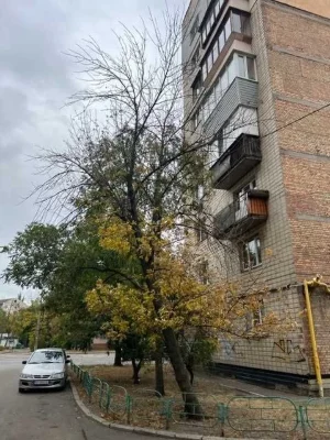 Продажа полноценной однокомнатной квартиры в Праге