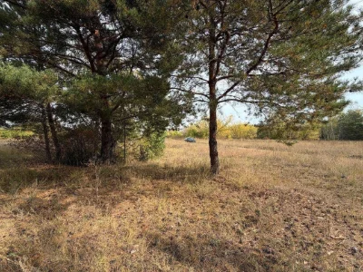 Земельна ділянка під житлову забудову, 22 сотки, поруч ліс,