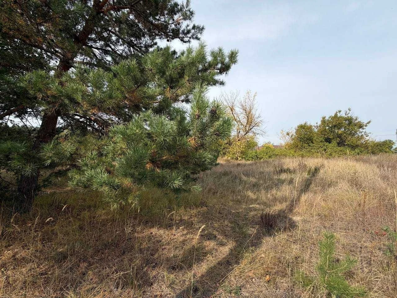 Земельна ділянка під житлову забудову, 22 сотки, поруч ліс,