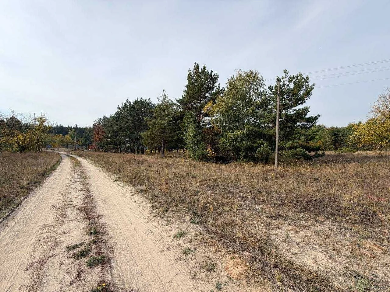 Земельна ділянка під житлову забудову, 22 сотки, поруч ліс,