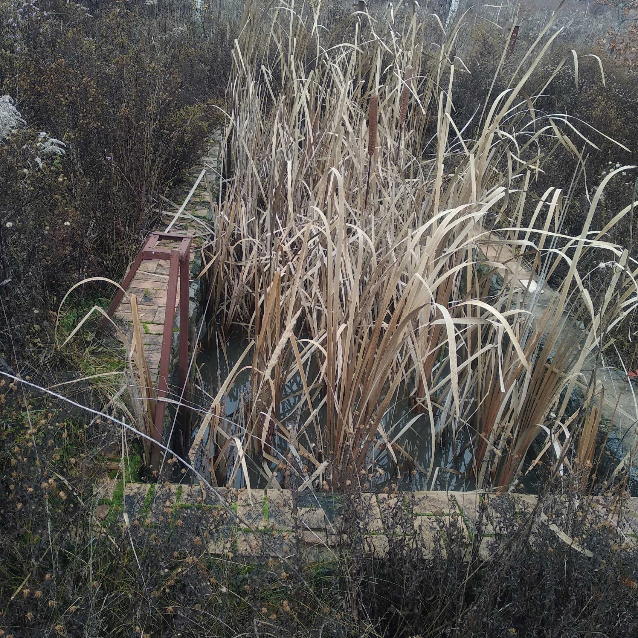 For Sale: 9-Acre Plot in the Dіброва Dacha Cooperative