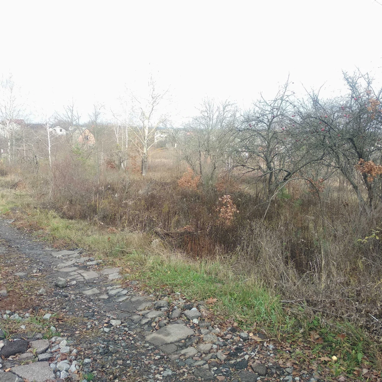 For Sale: 9-Acre Plot in the Dіброва Dacha Cooperative
