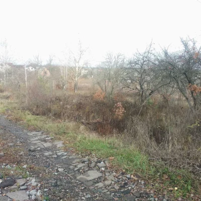 For Sale: 9-Acre Plot in the Dіброва Dacha Cooperative