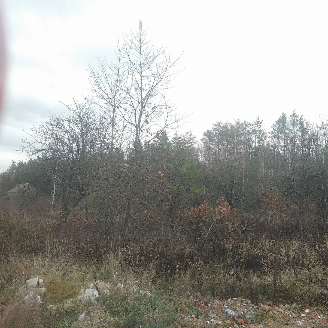 For Sale: 9-Acre Plot in the Dіброва Dacha Cooperative