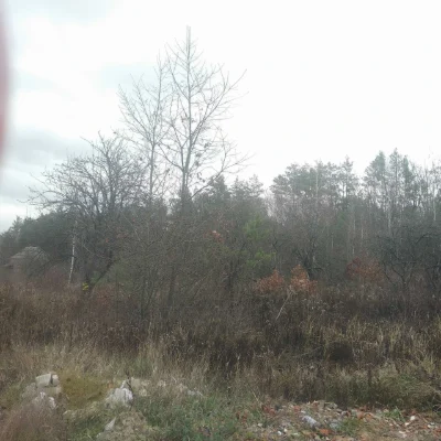 For Sale: 9-Acre Plot in the Dіброва Dacha Cooperative