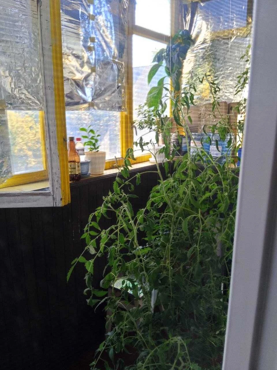 One-bedroom apartment in the Kotovskogo settlement — Dobvol'skogo
