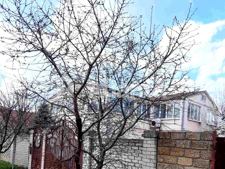 Будинок. Одеса, Цесевича вул.