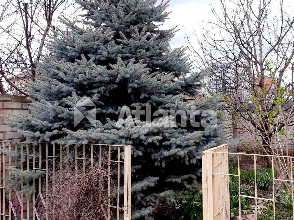 Будинок. Одеса, Цесевича вул.