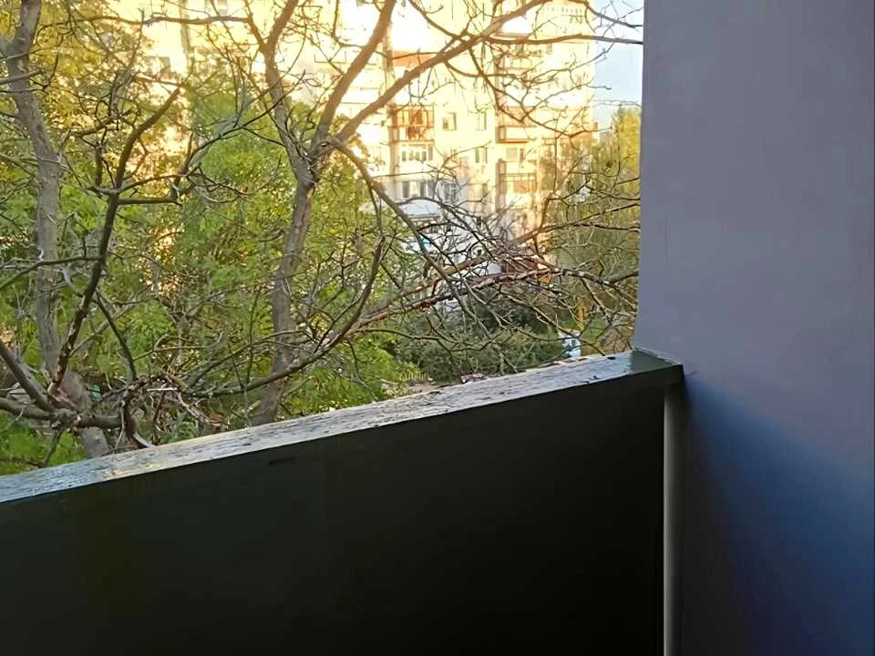 Квартира. Житомир, Вітрука, вулиця