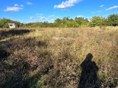 Ділянка. Дніпро