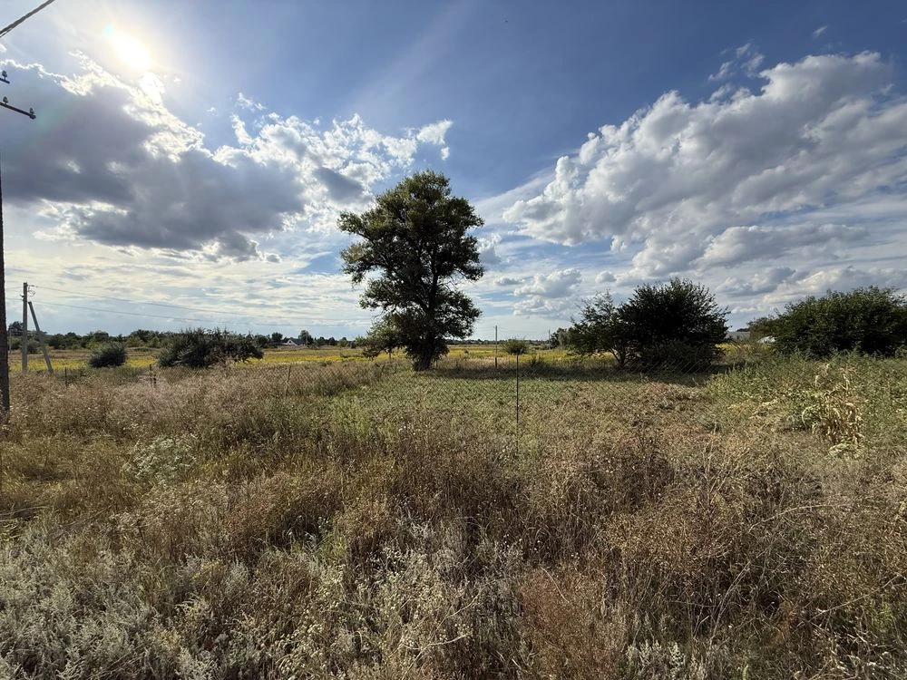 Land plot 20 acres, Bereznivka, Ivan Ohiienko