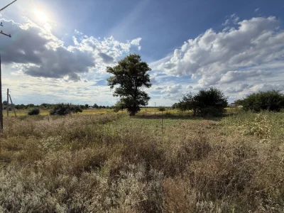 Land plot 20 acres, Bereznivka, Ivan Ohiienko
