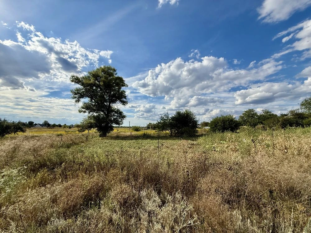 Land plot 20 acres, Bereznivka, Ivan Ohiienko