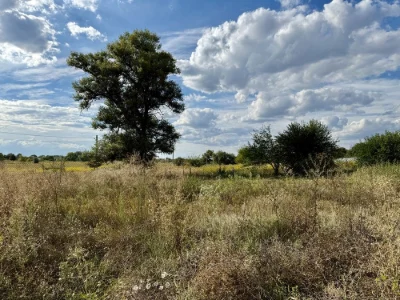 Land plot 20 acres, Bereznivka, Ivan Ohiienko